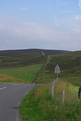 IMGP4744