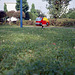 White clover and a toy fire engine