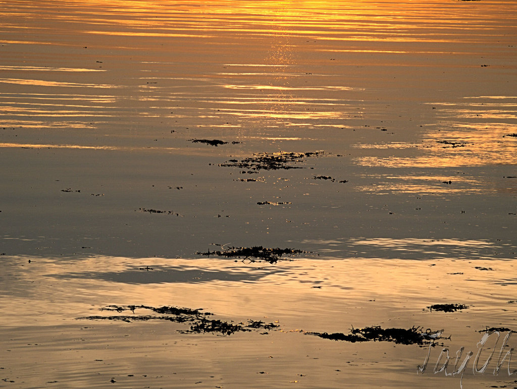 Sheildaig Sunset