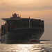 Containerschiff  MOL  CONTINUITY