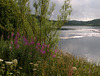 Loch Ettrick