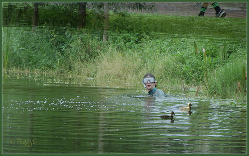 Three in a pond ..