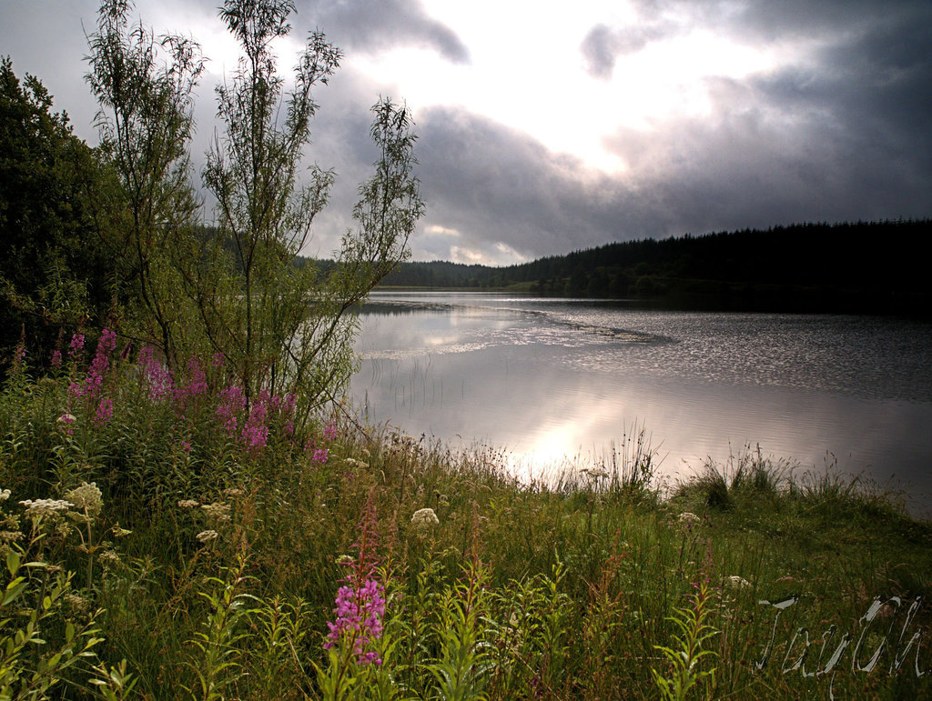 Loch Ettrick