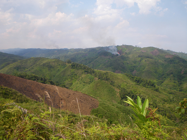 fires to clear groud for planting