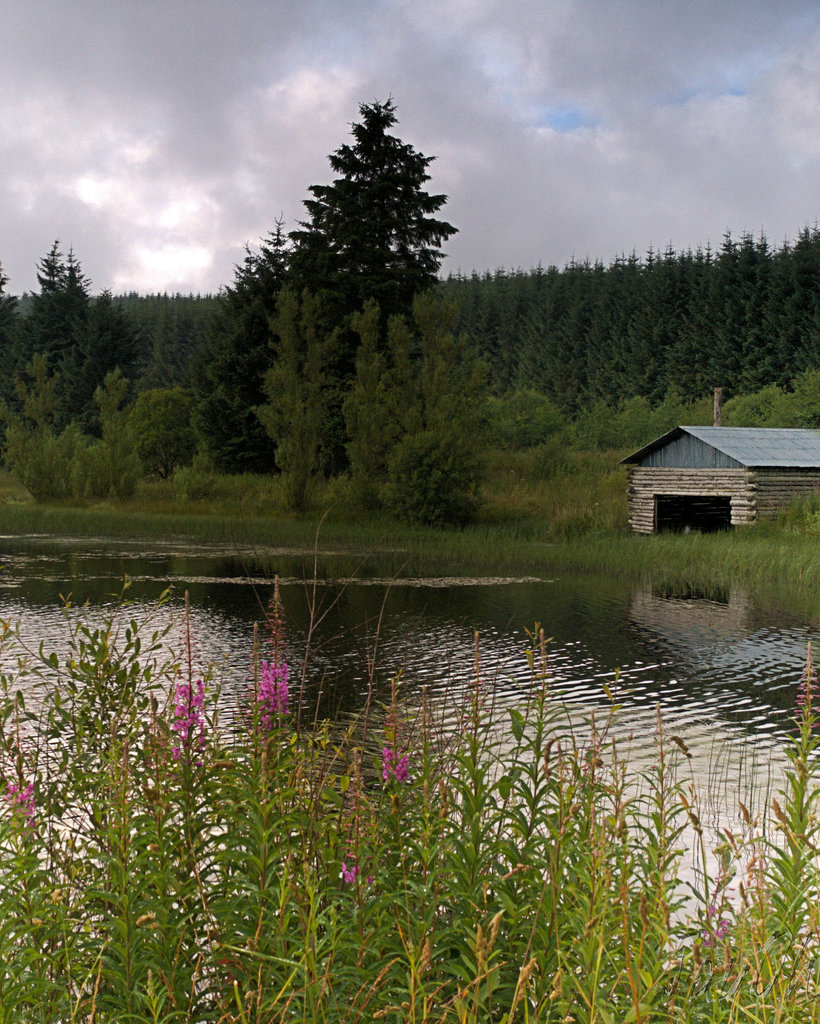 Old Boathouse, Loch Ettrick