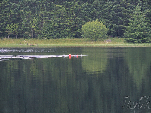 Loch Ettrick - An Endurance Swimmer Training