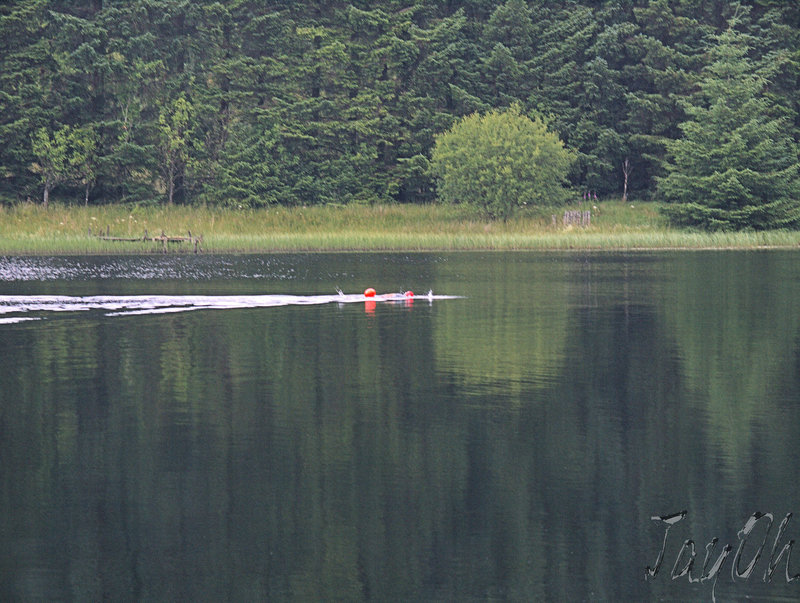 Loch Ettrick - An Endurance Swimmer Training