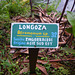 Longoza, a comfy reed Longoza, a comfy reed