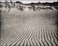 Lakes Entrance Sand Ripples