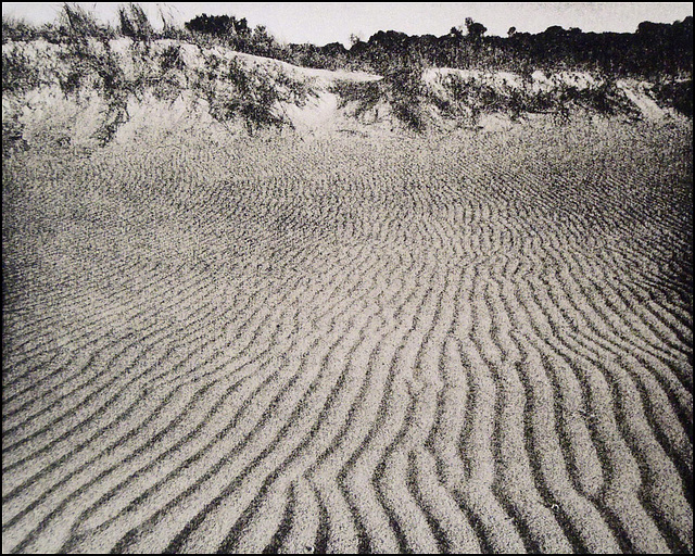 Lakes Entrance Sand Ripples