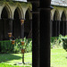 Abbaye du Mont Saint Michel (Ille-et-Vilaine) (Normandie, France)