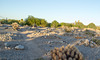 Ehrenberg, AZ: Pioneer Cemetery (0744)