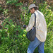 Epipactis gigantea (Stream orchid) being studied by Sam