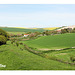 Norton - Bishopstone - East Sussex, from the west  - 28.4.2014