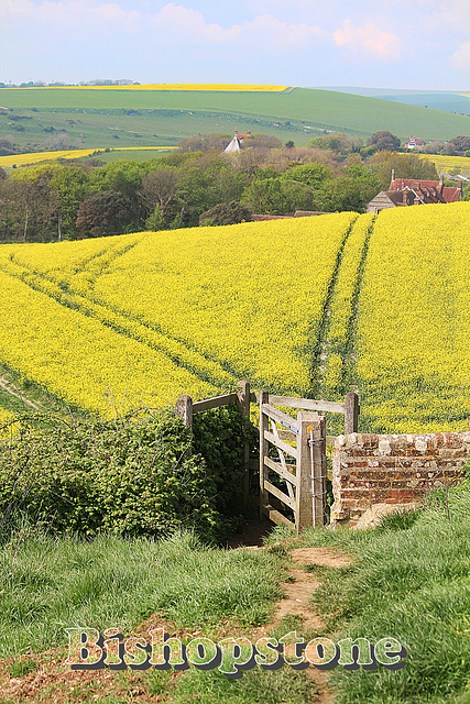 Path to Bishopstone from the east - 28.4.2014