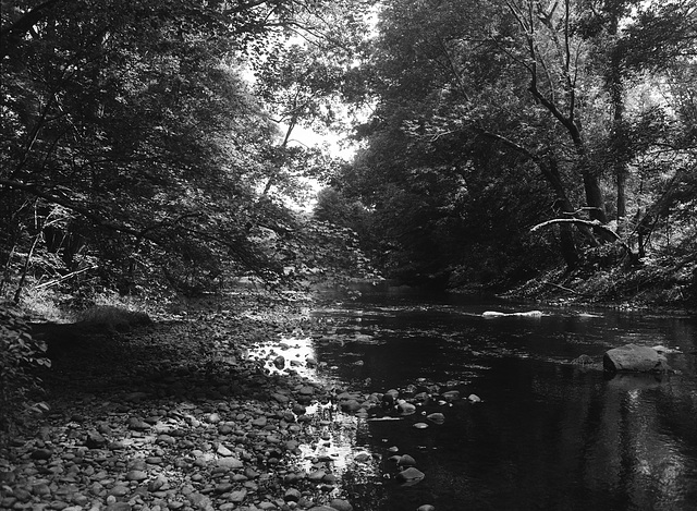 Summer on the river