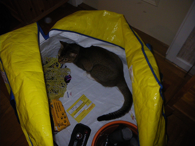 Abby helping me unpack