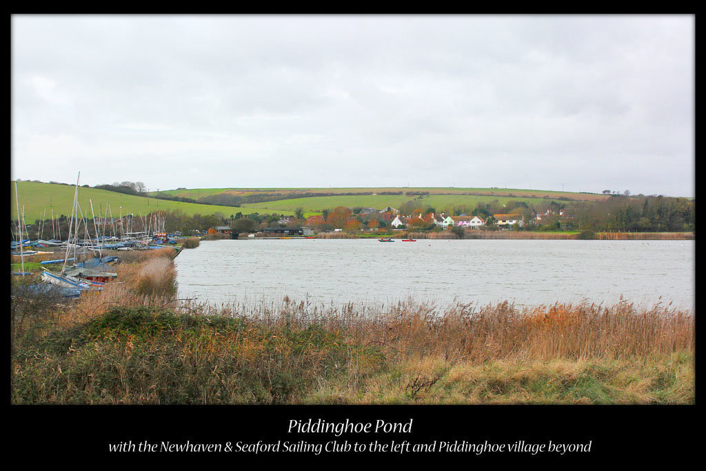 Piddinghoe pond - 26.11.2011