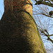 bottle kiln, walmer road, notting hill, london