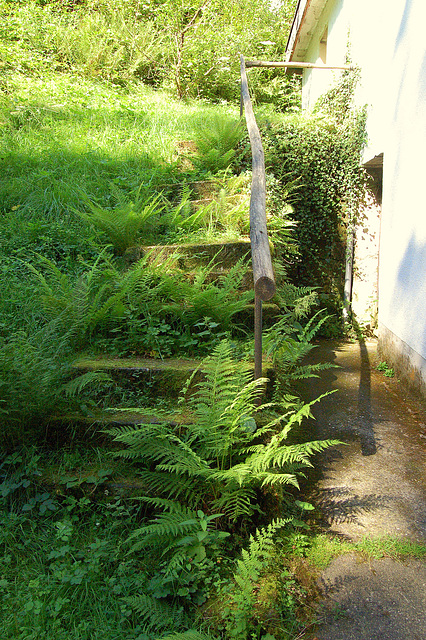 Ŝtuparo reen al la verda naturo, aŭ kiel iam ree estos (Treppe zurück zur grünen Natur (oder wie es irgenwann wieder sein wird)