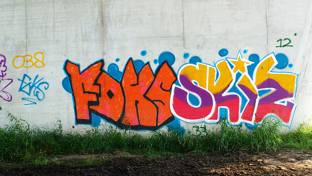 Foks Skiz