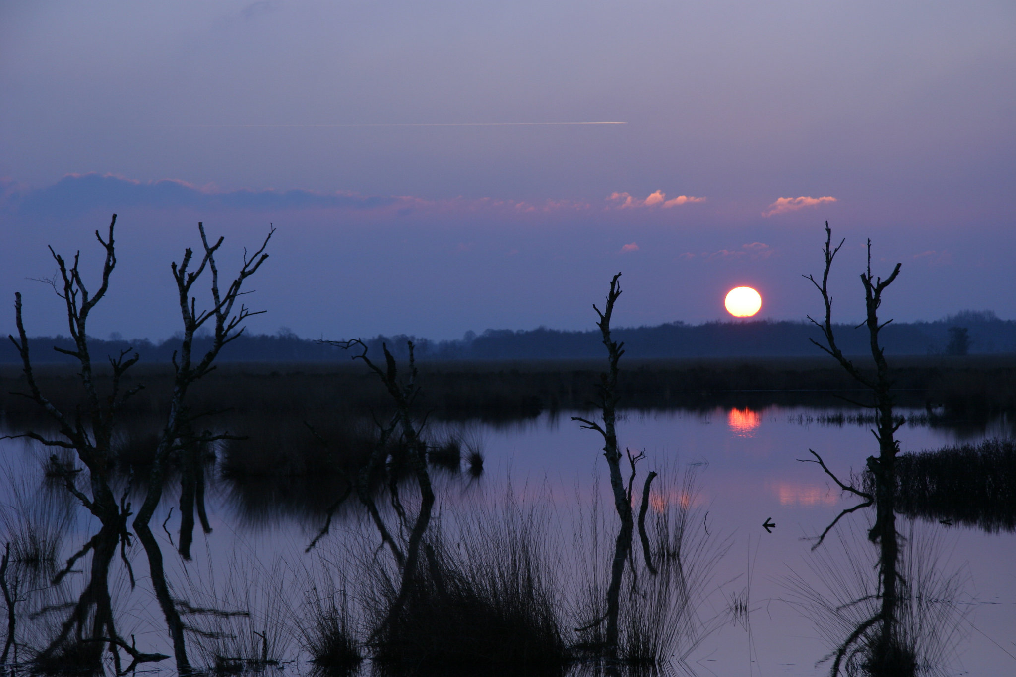 destruction of farmland/creation of wetlands