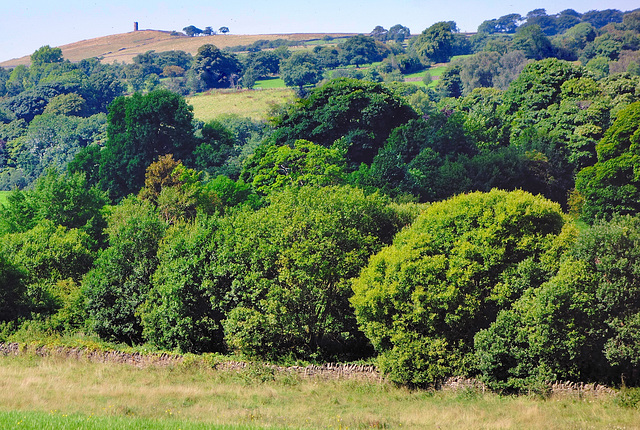 Our "Green and pleasant land".