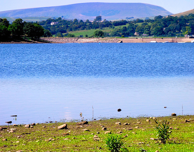 Lakeside view.