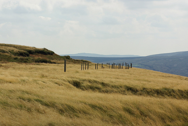 Holme Moss