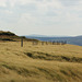 Holme Moss