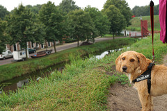 Chencho in Bourtange