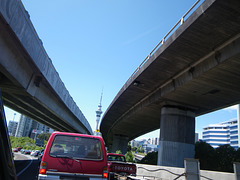 Auckland skycity tower