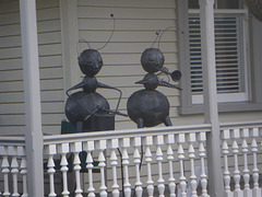 Musical ants in Devonport