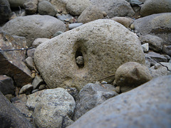 Riverbed find in Coromandel river