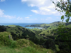 coromandel peninsula