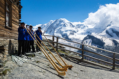 Alphorn Players