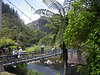 Karangahake swing bridge