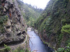 Karangahake gorge