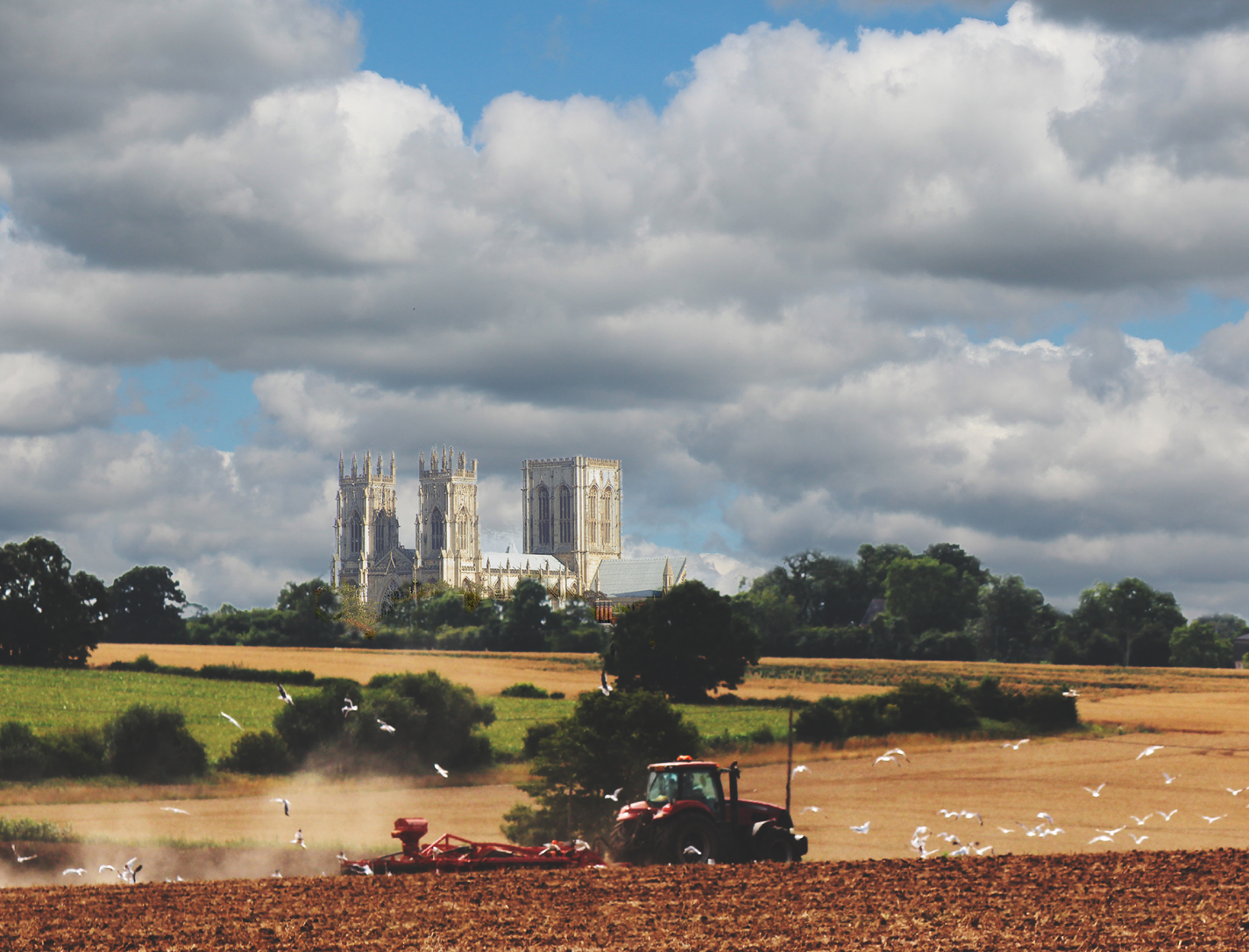 Farming today.