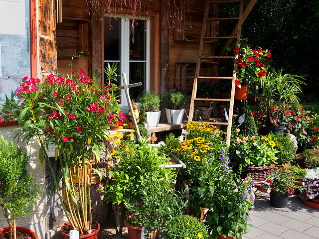 Der fröhliche Blumenladen ~