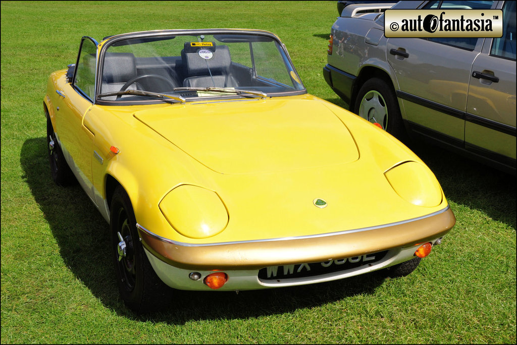 Lotus