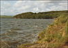 high tide at Warren Point