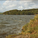 high tide at Warren Point