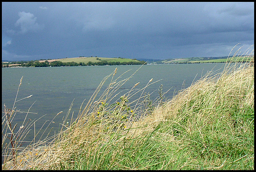 the wide Tamar River