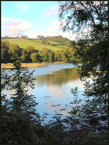 creek in the evening sun