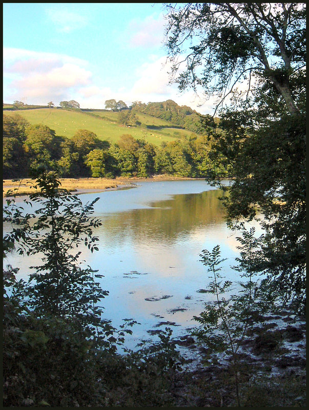 creek in the evening sun