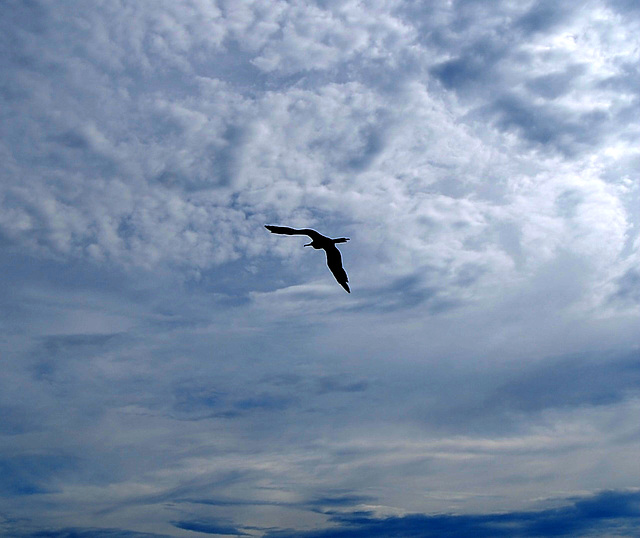 Ciel du Brésil ...il y a......