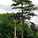 totteridge war memorial, barnet, london