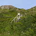 J.T. Cheesman Provincial Park -- steps to raised bogs