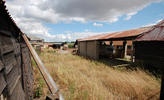 Dukes Farm, Bungay, Suffolk (12)